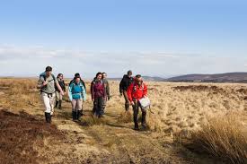 Image result for Porlock Vale Riding School