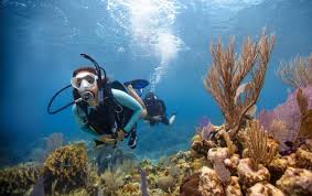 Image result for Southdown Divers