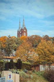 Image result for keltas vilnius