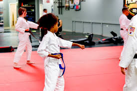 Image result for Synergy Tae Kwon Do