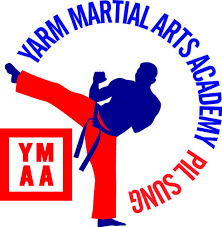 Image result for middlesbrough karate academy