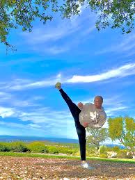 Image result for Jin Sei Kai Shotokan Karate