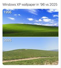 Image result for love windows xp wallpaper