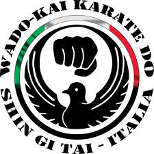 Image result for Independent Wadoryu Karate Federation