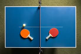 Image result for Table Tennis