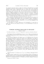 Attēlu rezultāti vaicājumam “Physarum decipiens sessile”