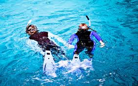 Image result for Darwen Snorkelling Club