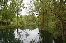 Image result for Wheatley Hill Angling Club