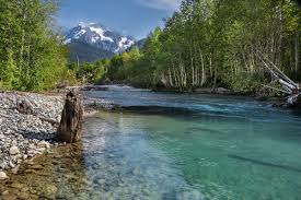 Image result for Rivernook Bowmen