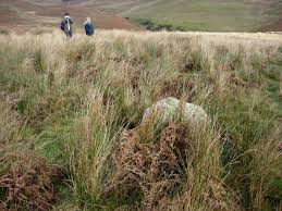 Image result for Beddau