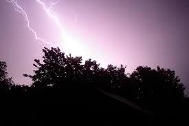 Image result for Sussex Thunder