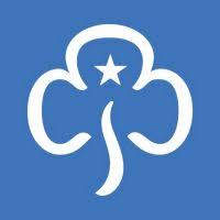 Image result for Northern Freestyle Karate Association