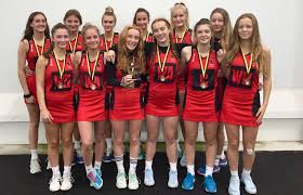 Image result for Penryn Netball Club