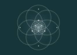 Image result for life flower