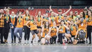 Image result for Tiger Bay Brawlers Roller Derby Team