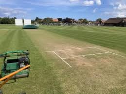 Image result for Thornham Cricket Club