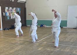 Image result for Soncho Karate Club