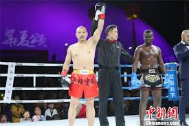 Image result for Southgate T`ai Tsung Chinese Boxing