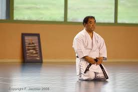 Image result for Independent Wadoryu Karate Federation