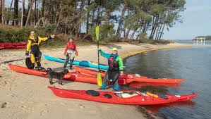 Image result for Poole Harbour Canoe Club