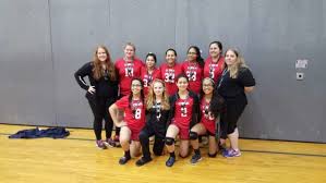 Image result for Chesterfield Cobras Volleyball Club