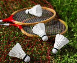 Image result for Basingstoke Junior Badminton Club