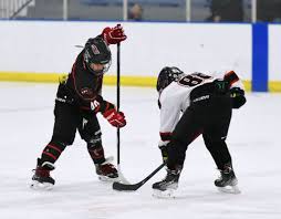 Image result for Norton Cyclones Skater Hockey Club