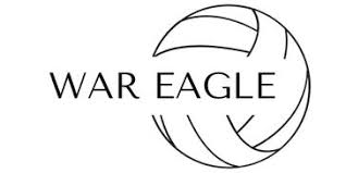 Image result for White Eagles Volleyball Club