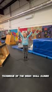 Image result for Velocity PK Parkour Club