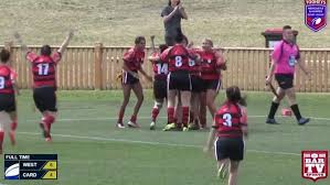 Image result for Cardiff Cobras