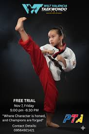 Image result for North Wilts Taekwondo