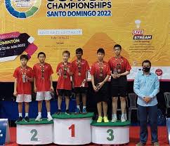 Image result for St Vincents Badminton Club