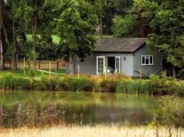 Image result for New Forest/Waterside