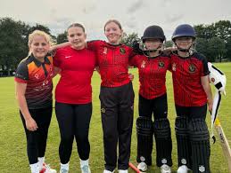 Image result for Croesyceiliog Cricket Club