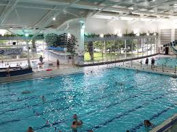 Image result for Harrogate Swimming Club