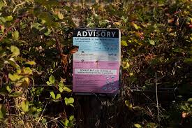 Image result for Otters Old Time Dance Club