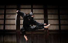 Image result for Central London Ninjutsu