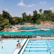 Image result for Alton & District Swimming Club