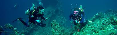 Image result for Leicester Underwater Exploration Club