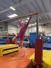Image result for Aerodyne Gymnastics Club