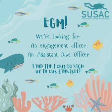 Image result for Southampton University Sub-Aqua Club