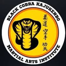 Image result for Cobra Karate Club