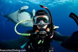 Image result for Manta Divers Sub-Aqua Club