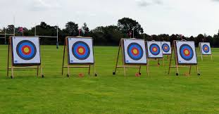Image result for Blue Arrows Archery Club