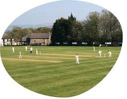 Image result for Great Baddow Cricket Club