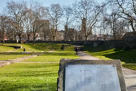 Image result for Barking Abbey Ishinryu