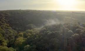 Image result for Tri-Cornwall