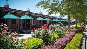 Image result for Ecurie Barnton