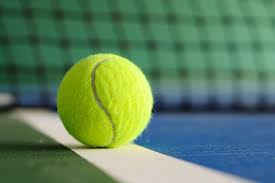 Image result for Limpsfield Lawn Tennis Club