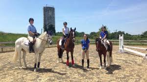 Image result for Annandale Equestrian Centre